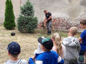 dzieci obserwują pokaz wyszkolenia psa służby więziennej w tle krzewy i mur.