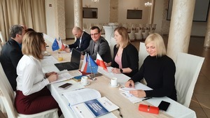 Uczestnicy polsko-czeskiego roboczego wspólnie omawiają bieżące działania w projekcie.