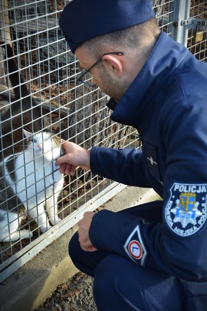 Zdjęcie przedstawia policjanta głaszczącego kota.
