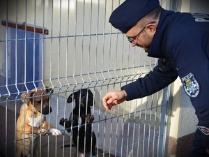 Zdjęcie przedstawia policjantkę głaszczącą psa.