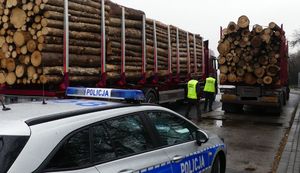 policjanci podczas kontroli przewozu drewna
