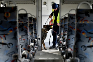 Policyjny pies wraz z przewodnikiem podczas szkolenia