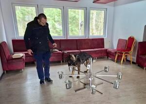 Policyjny pies wraz z przewodnikiem podczas szkolenia