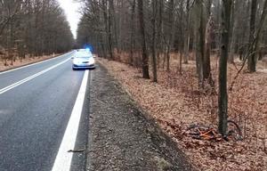 radiowóz na sygnale stoi na jezdni w lesie