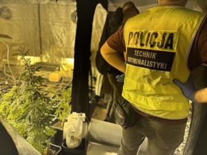 zdjęcie kolorowe: zabezpieczone przez opolskich kryminalnych narkotyki