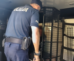policjant zamyka w radiowozie poszukiwanego