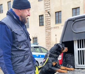 policjant wyprowadza psa z radiowozu