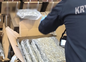 susz roślinny w foliowych workach i kartonach