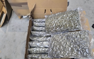 susz roślinny w foliowych workach i kartonach