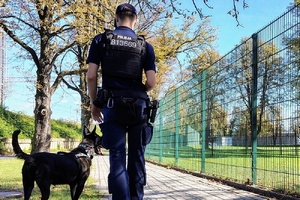 przewodnik z policyjnym psem