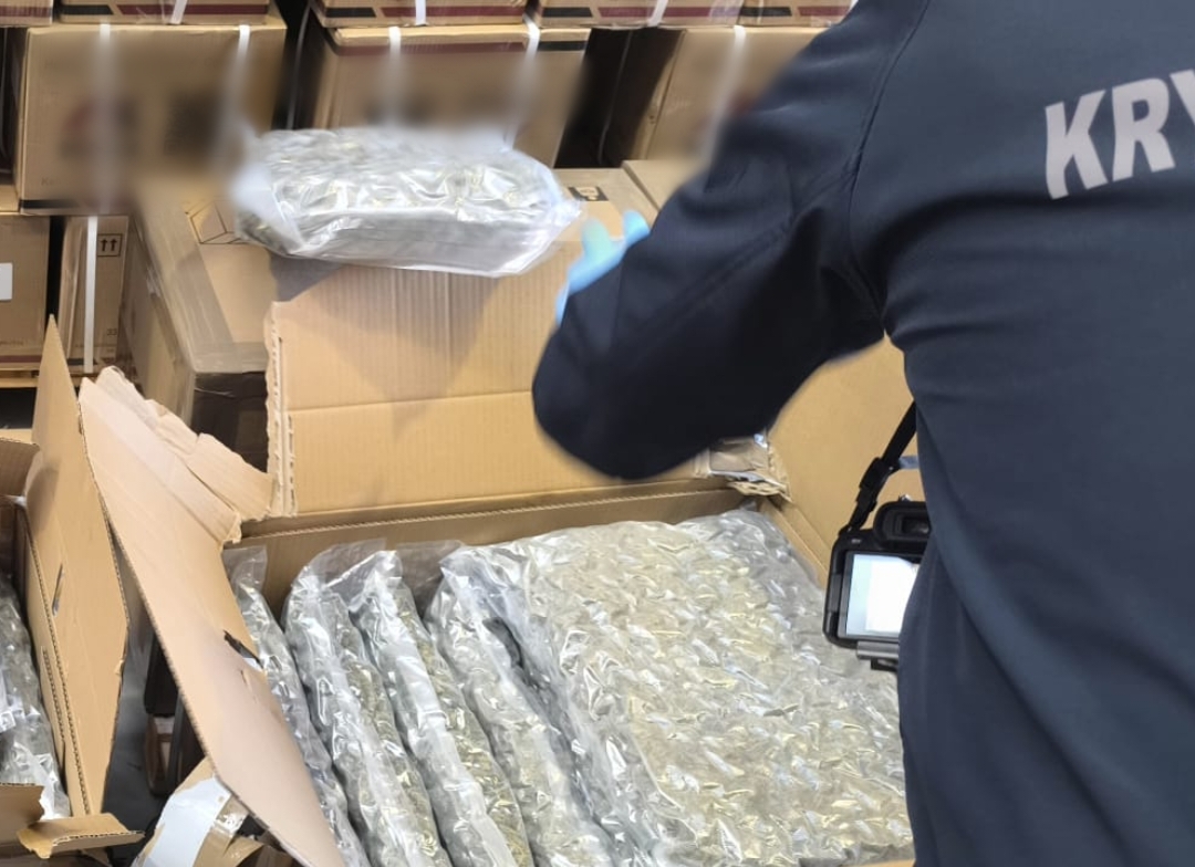 Policjanci zabezpieczyli marihuanę wartą 2,5 miliona złotych – była na palecie w jednej z brzeskich firm