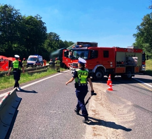 Zdjęcie przedstawia miejsce wypadku drogowego, na pierwszym planie policjanci, za nią wóz strażacki.