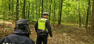 Zdjęcie kolorowe przedstawiające działania poszukiwawcze służb ratunkowych.