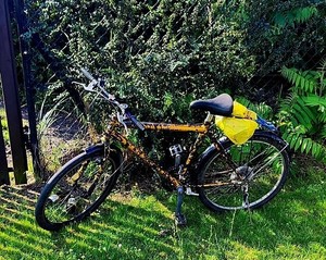 Zdjęcie kolorowe przedstawiające radiowóz i rower