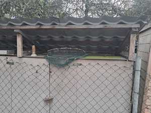 Zdjęcie przedstawiające klatki na ptaki.