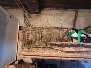 Zdjęcie przedstawiające klatki na ptaki.