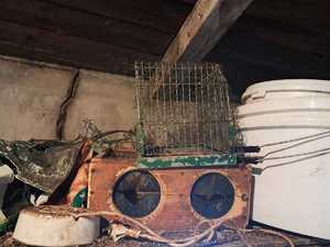 Zdjęcie przedstawiające klatki na ptaki.