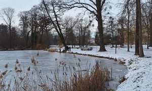 Zdjęcie przedstawia miejsce interwencji policyjnej.