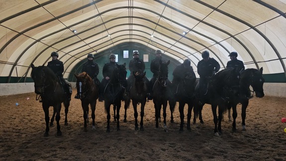 Zdjęcie przedstawia wizytę klas mundurowych w Ogniwie Konnym Wydziału Prewencji KMP w Częstochowie.