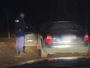 Zdjęcie przedstawia kontrolę drogową.