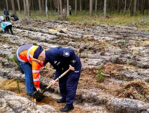Zdjęcie przedstawia wydarzenie związane z jubileuszem 100-lecia dzielnicowych, którzy z tej okazji posadzili symboliczne 100 sadzonek w lesie.