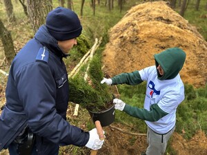 Zdjęcie przedstawia wydarzenie związane z jubileuszem 100-lecia dzielnicowych, którzy z tej okazji posadzili symboliczne 100 sadzonek w lesie.