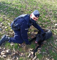 Zdjęcie przedstawia policjanta z psem służbowym. Czarny owczarek niemiecki siedzi leży obok swojego przewodnika.