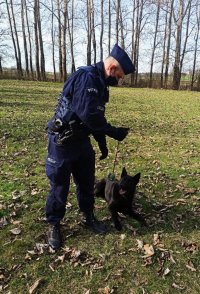Zdjęcie przedstawia policjanta z psem służbowym. Czarny owczarek niemiecki leży obok swojego przewodnika, patrzy na piłkę, którą policjanat trzyma w swojej ręce.