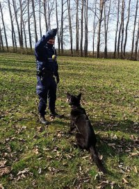 Zdjęcie przedstawia policjanta z psem służbowym. Czarny owczarek niemiecki siedzi obok swojego przewodnika, który trzyma wysoko w ręce piłkę.