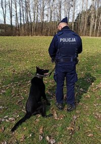 Zdjęcie przedstawia policjanta z psem służbowym, którzy stoją tyłem.