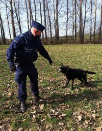 Zdjęcie przedstawia policjanta z psem służbowym, który szarpie piłkę na sznurku trzymaną w ręce przez policjanta.
