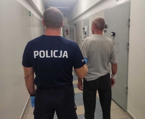 zdjęcie: zatrzymany za zniszczenie zamku