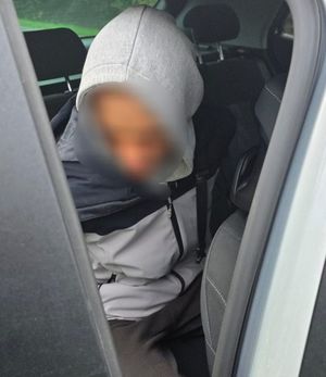 kolorowe zdjęcie zatrzymany