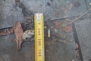 kolorowe zdjęcia broni oraz pocisku