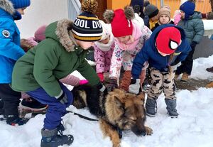 kolorowe zdjęcia z służbowego życia Foxi psa służbowego spotkania w szkołach z dziećmi oraz służba.