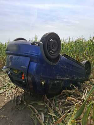 na zdjęciu jest przewrócony samochód w polu kukurydzy