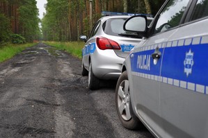 Grafika obrazuje dwa radiowozy. W tle widzimy drogę prowadzącą do lasu.