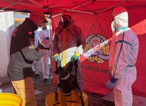 funkcjonariusze policji w trakcie ćwiczeń