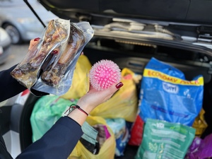 funkcjonariusze z darkami dla potrzebujących zwierząt