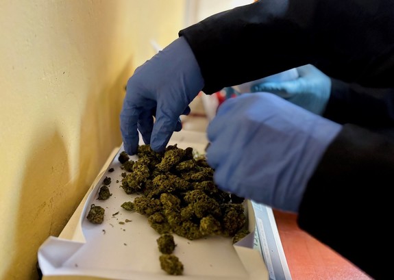 narkotyki ważone przez funkcjonariusza