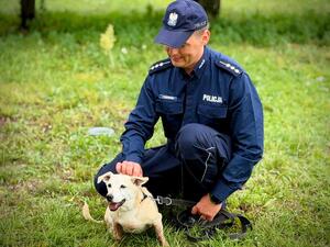 policjanci ze zwierzętami ze schroniska
