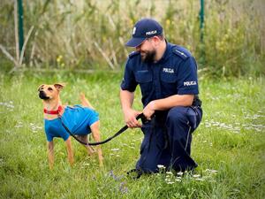 policjanci ze zwierzętami ze schroniska