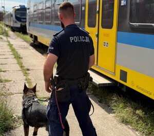 przewodnicy psów z psami służbowymi