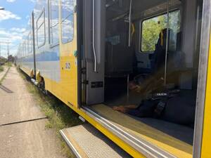przewodnicy psów z psami służbowymi
