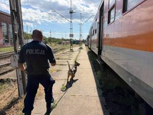 przewodnicy psów z psami służbowymi