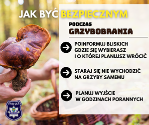 Zdjęcie przedstawia grafikę.