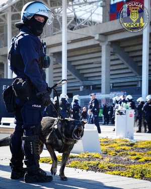 zdjęcie: policjanci podczas zabezpieczenia meczu