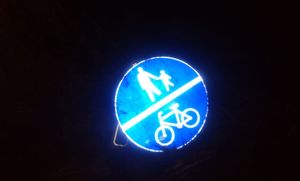 Noc. Leżący na ziemi znak drogowy informujący o drodze dla pieszych i rowerzystów.