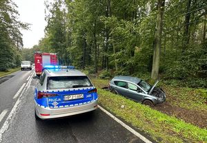 Zdjęcie w kolorze przedstawia pojazd policji i straży pożarnej stojące na pasie jezdni, obok nich w rowie uszkodzony samochód osobowy.