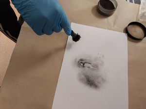 Zdjęcie w kolorze przedstawia młodzież podczas zajęć w pracowni technika kryminalistyki. Uczniowie sami ujawniają odbitkę ucha na kartce papieru.